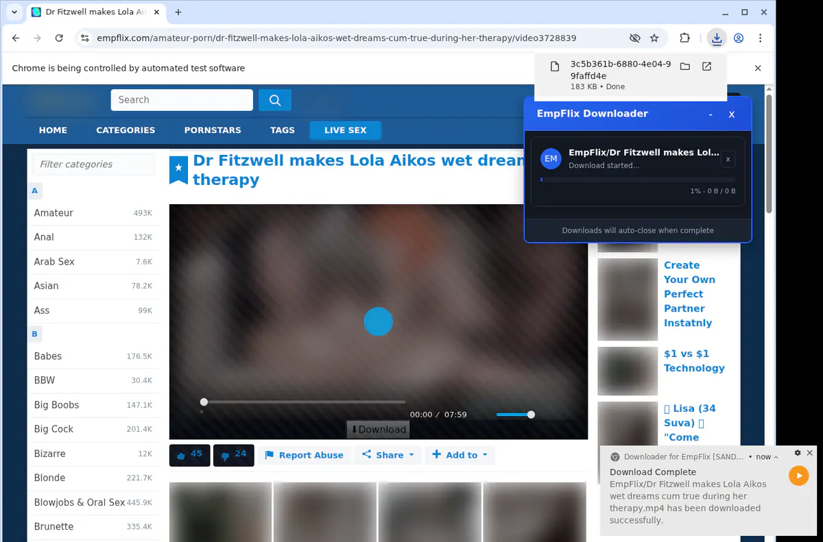 Empflix Video Downloader browser extension screenshot 2