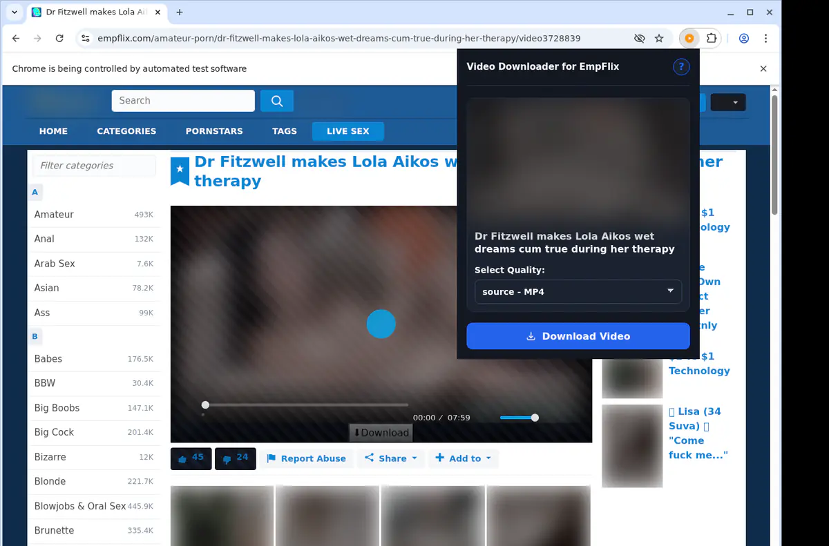 Empflix Video Downloader browser extension screenshot 3
